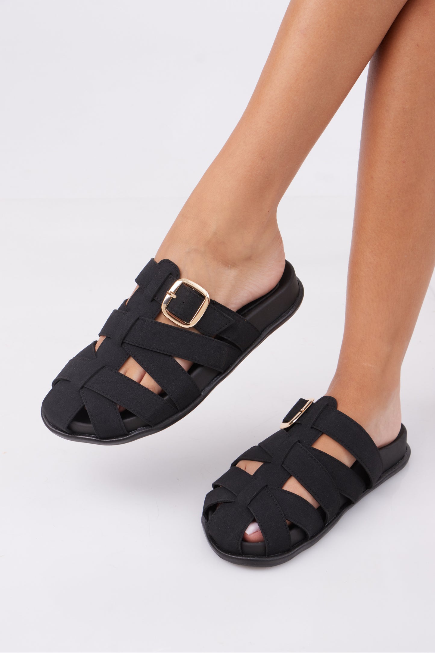 Paloma Slide
